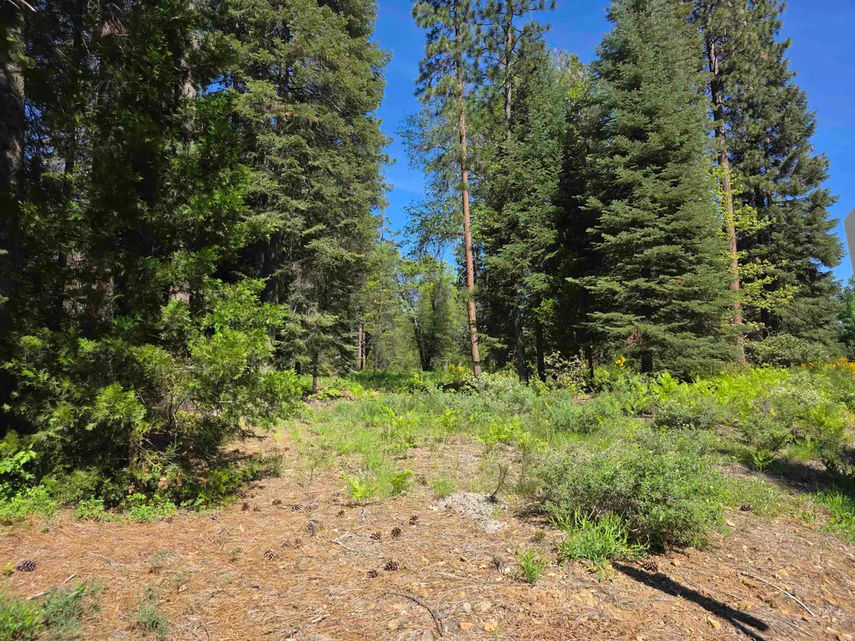 Lot 75 Mill House, McCloud, CA 96057 - #1