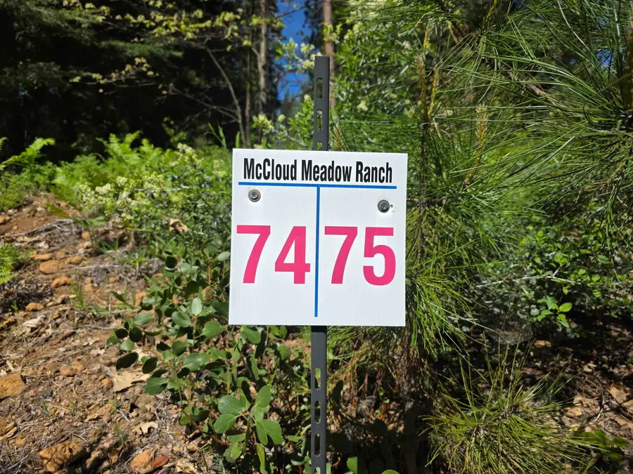 Lot 75 Mill House, McCloud, CA 96057 - #3