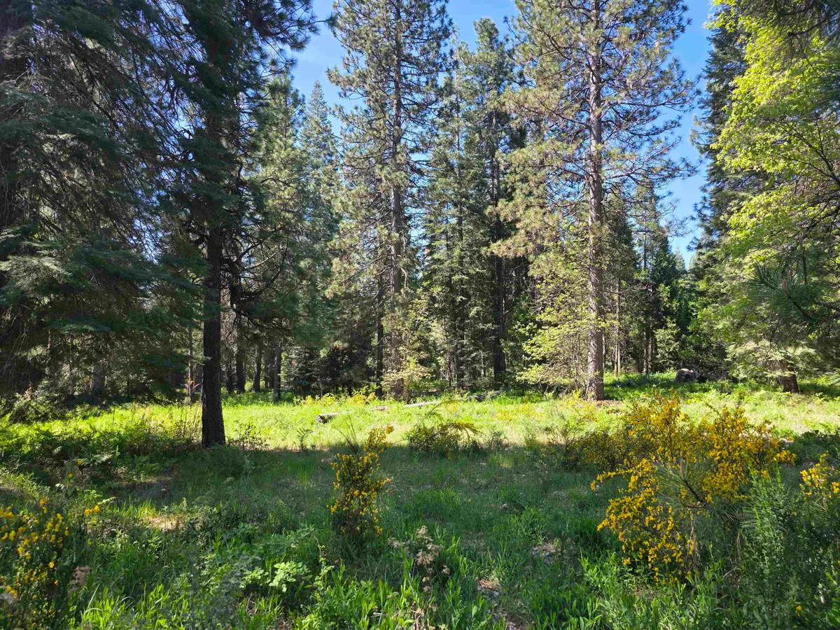 Lot 76 Panther Meadow, McCloud, CA 96057 - #1