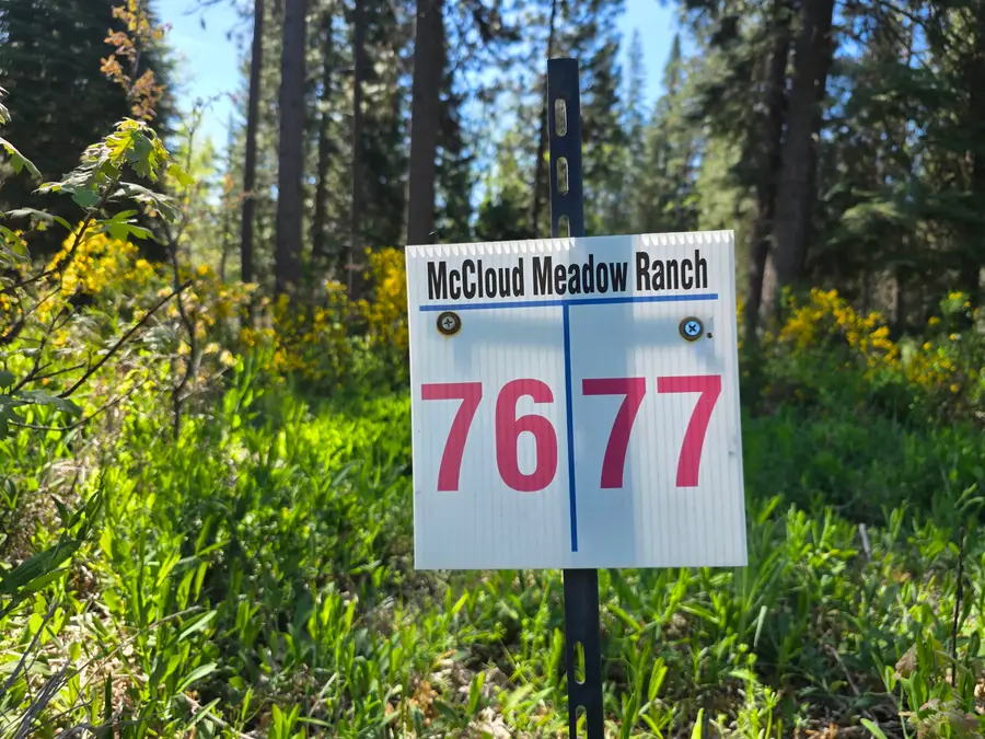 Lot 76 Panther Meadow, McCloud, CA 96057 - #3