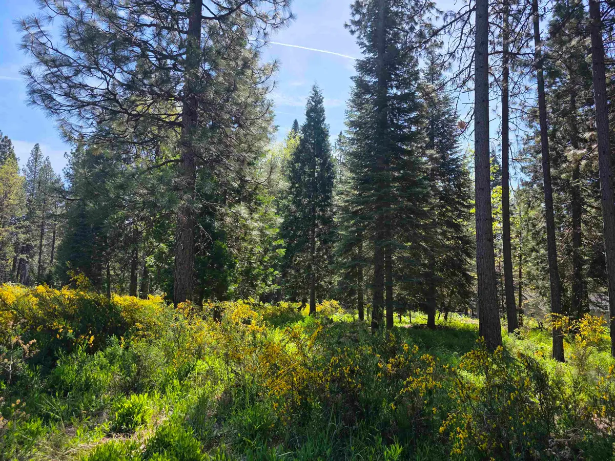 Lot 77 Panther Meadow, McCloud, CA 96057 - #1