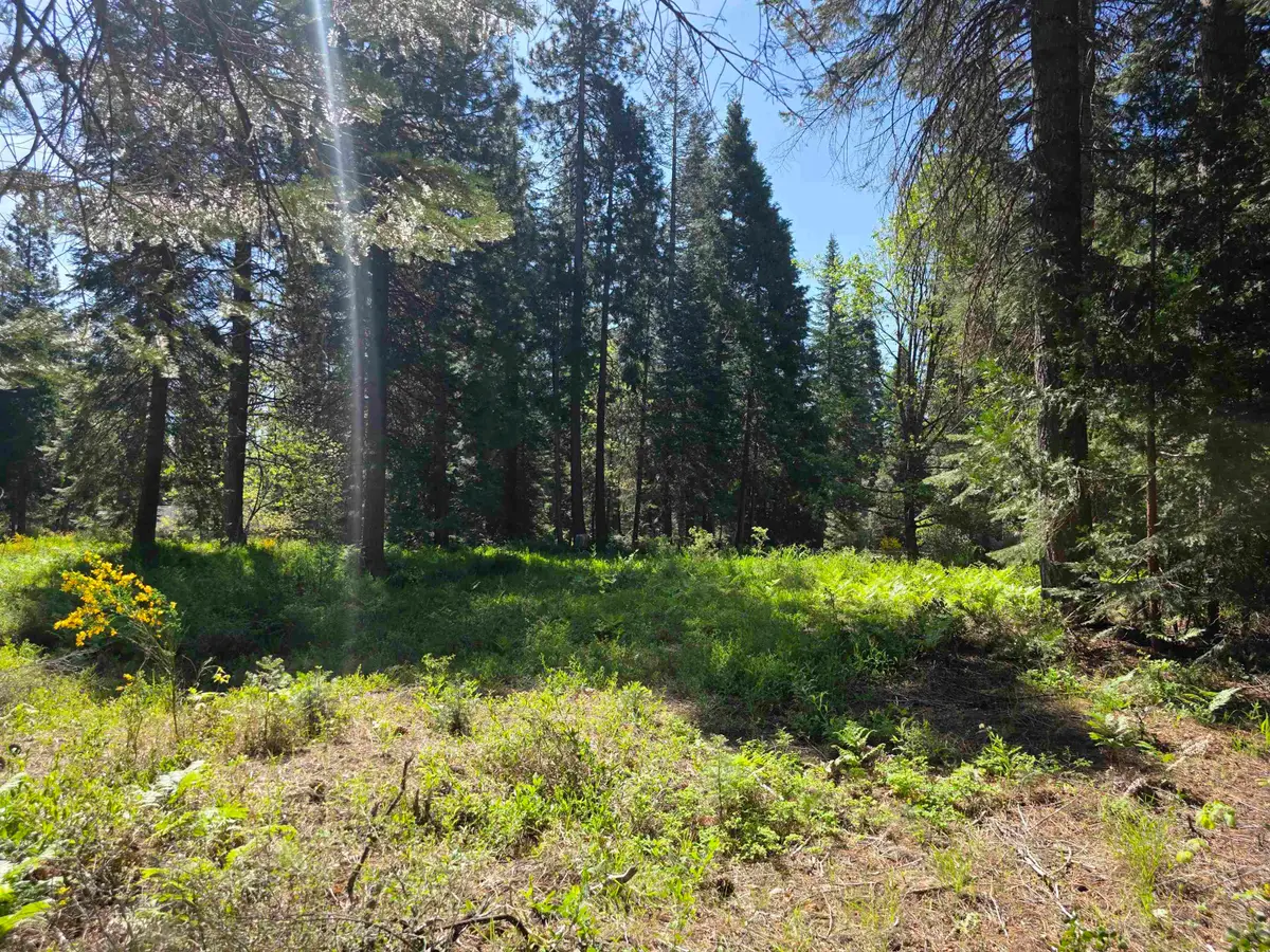 Lot 78 Panther Meadow, McCloud, CA 96057 - #1