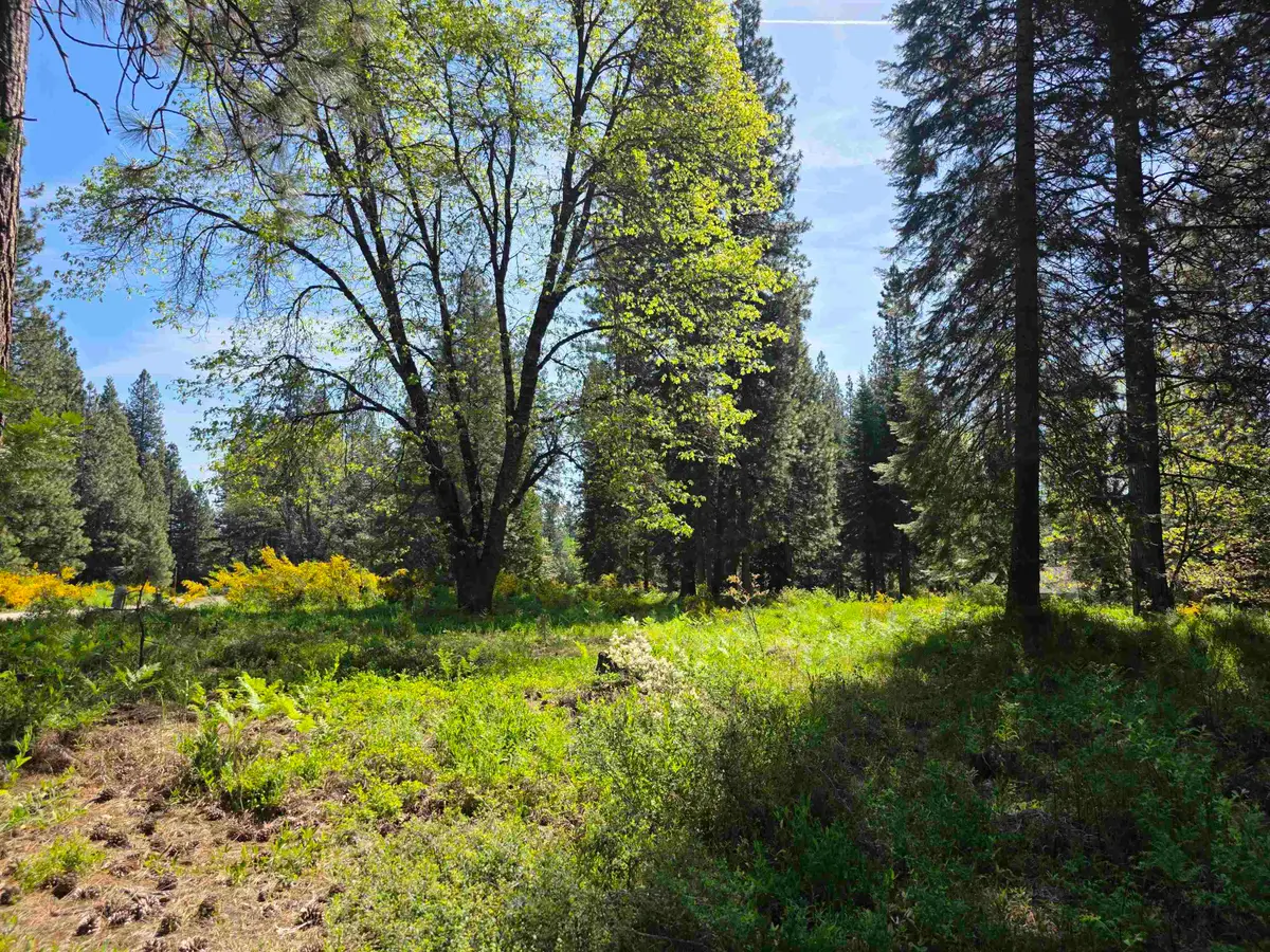 Lot 79 Panther Meadow, McCloud, CA 96057 - #1