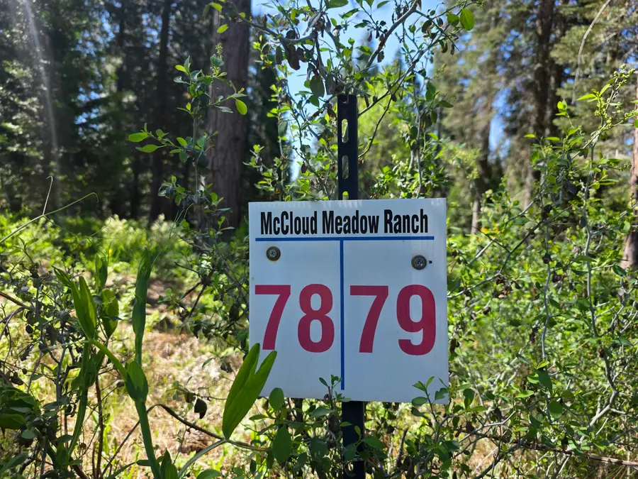 Lot 79 Panther Meadow, McCloud, CA 96057 - #3