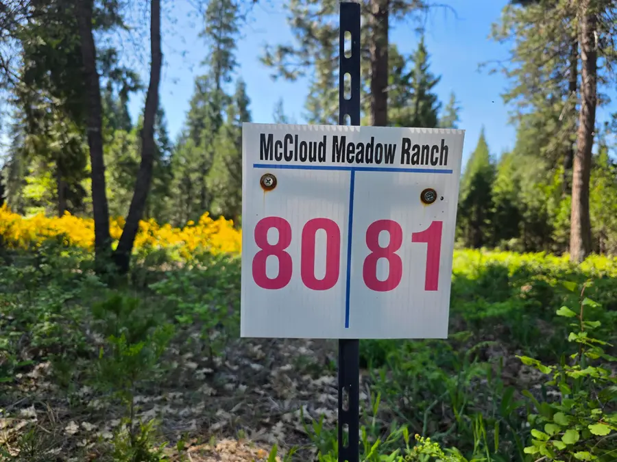 Lot 81 Panther Meadow, McCloud, CA 96057 - #3