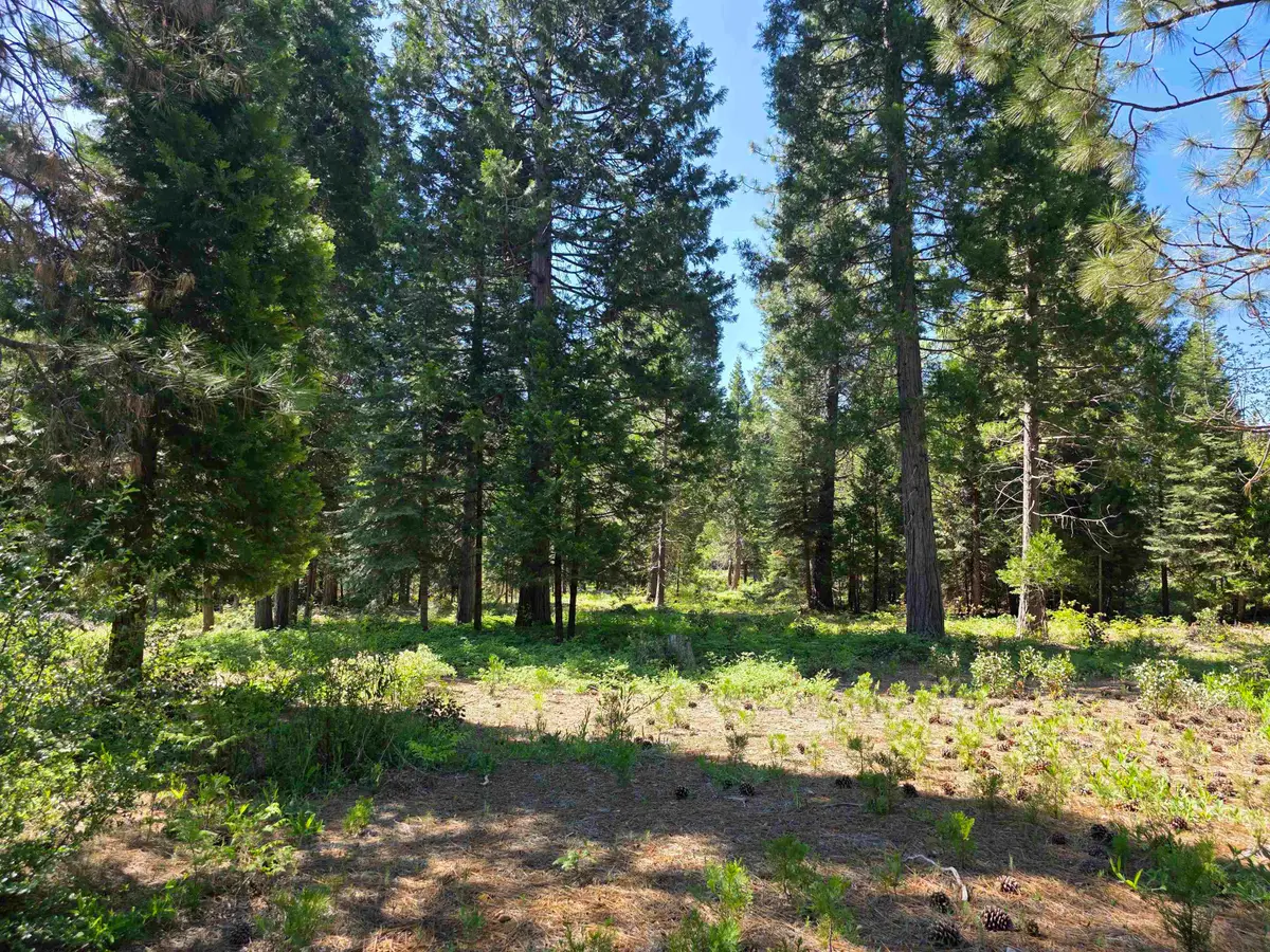 Lot 83 Panther Meadow, McCloud, CA 96057 - #1