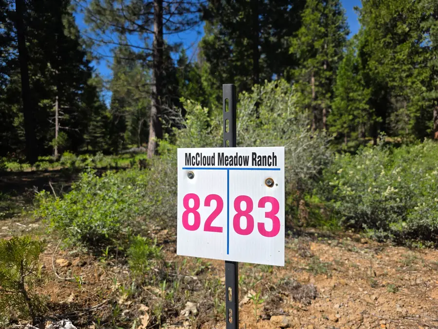 Lot 83 Panther Meadow, McCloud, CA 96057 - #3
