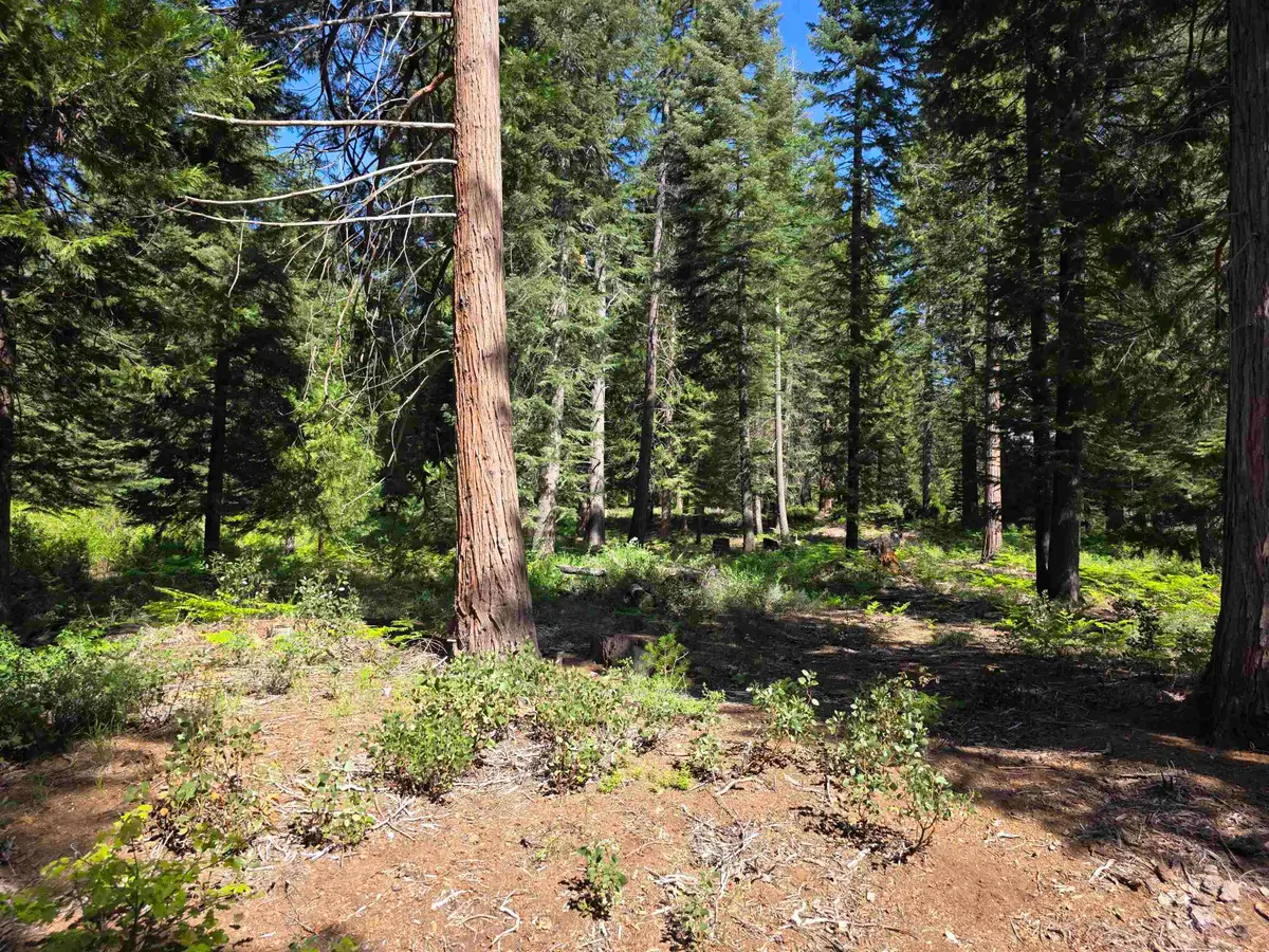 Lot 84 Panther Meadow, McCloud, CA 96057 - #1