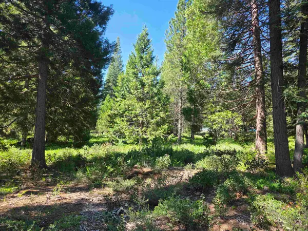 Lot 85 Panther Meadow, McCloud, CA 96057
