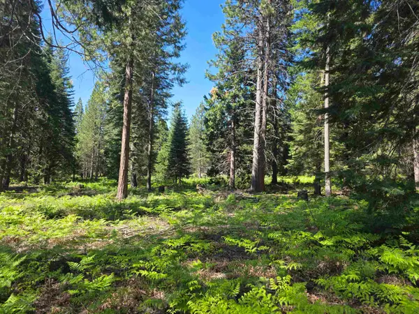 Lot 87 Panther Meadow, McCloud, CA 96057