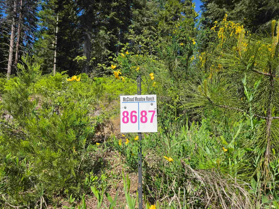 Lot 87 Panther Meadow, McCloud, CA 96057 - #3