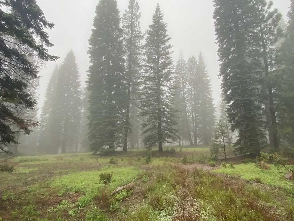 2-E-15 Snowline Cir, McCloud, CA 96057 - #1