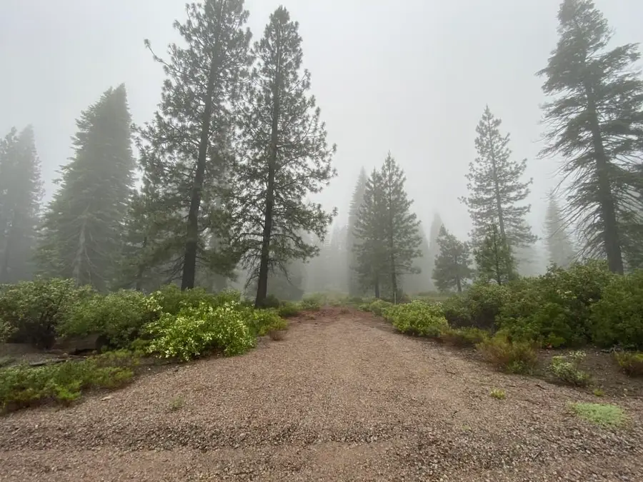 2-E-15 Snowline Cir, McCloud, CA 96057 - #2