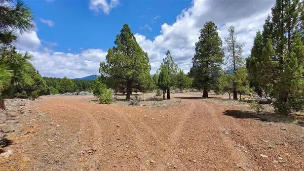 Robison Rd., MacDoel, CA 96058