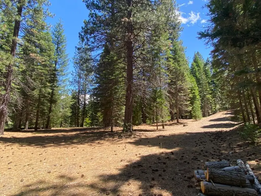 Lot 3 Twin Hills Ct, Mount Shasta, CA 96067 - #2