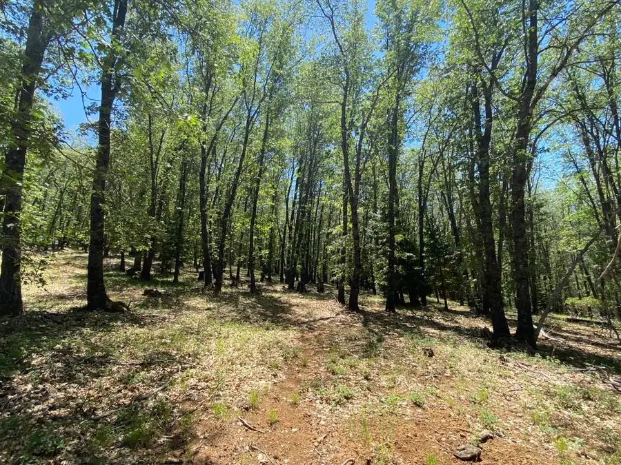 4-C-1 Columbine Rd, Weed, CA 96094 - #3
