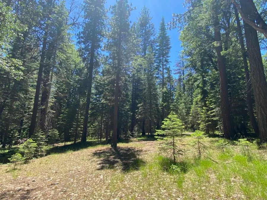 3-E-29 Red Fir Rd, McCloud, CA 96057 - #2