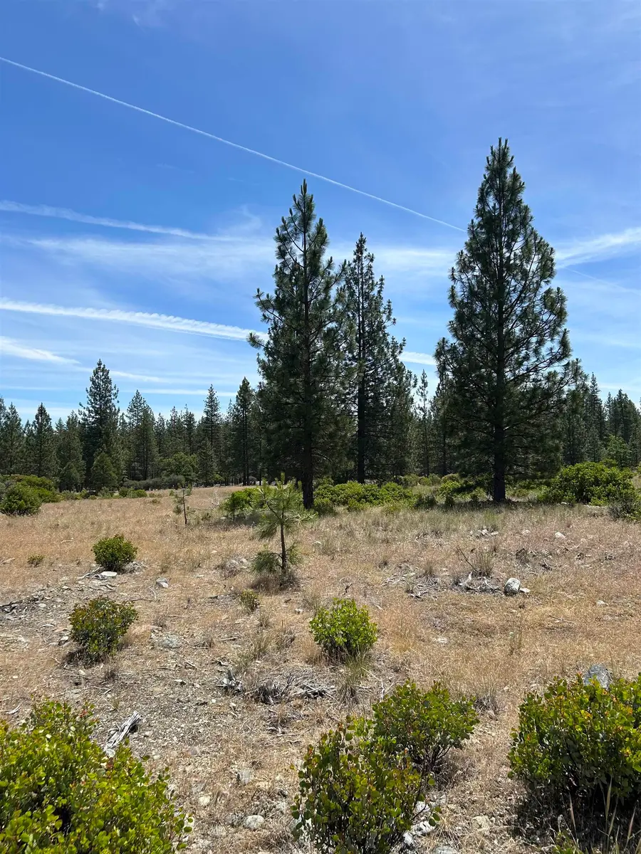 0 Patterson Creek Road, Etna, CA 96027 - #3