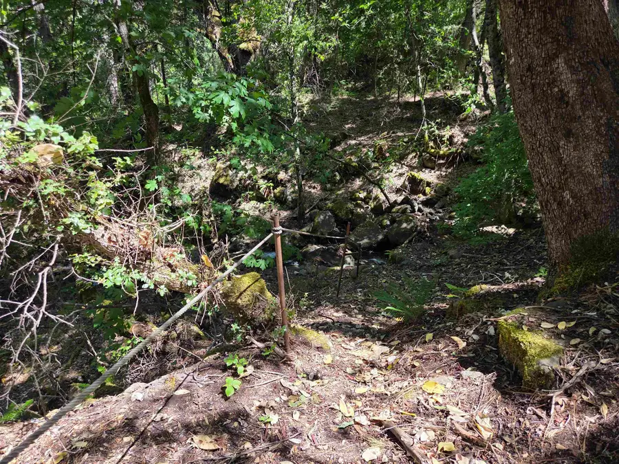 35711 Highway 96, Klamath River, CA 96050 - #2