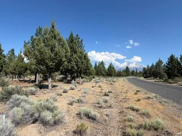 8-2/110 Archer Road, Weed, CA 96094 - #2