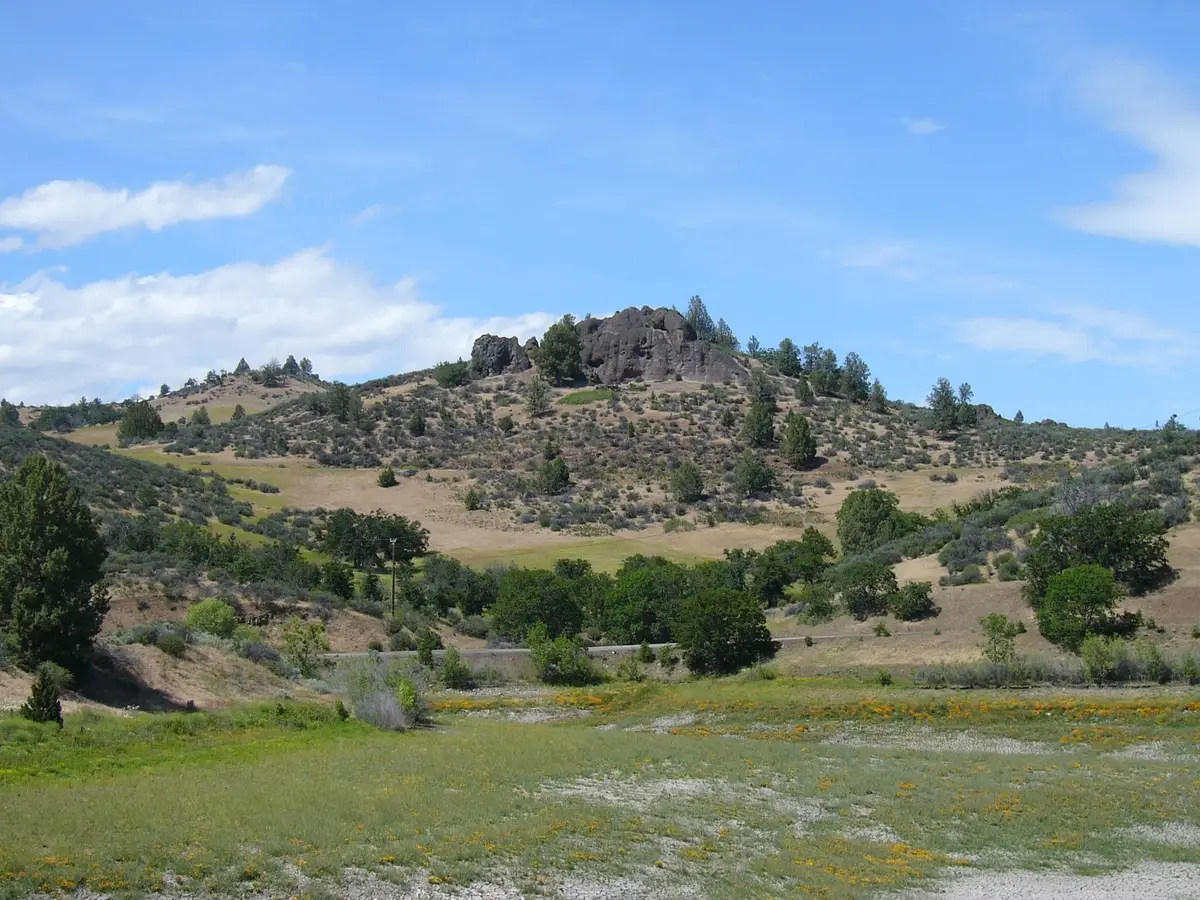 25.6 acres Big Rock Dr/Quase Dr, Hornbrook, CA 96044 - #1