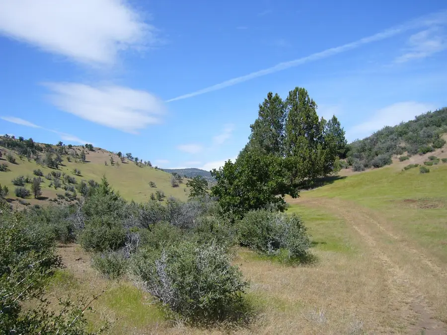 25.6 acres Big Rock Dr/Quase Dr, Hornbrook, CA 96044 - #3