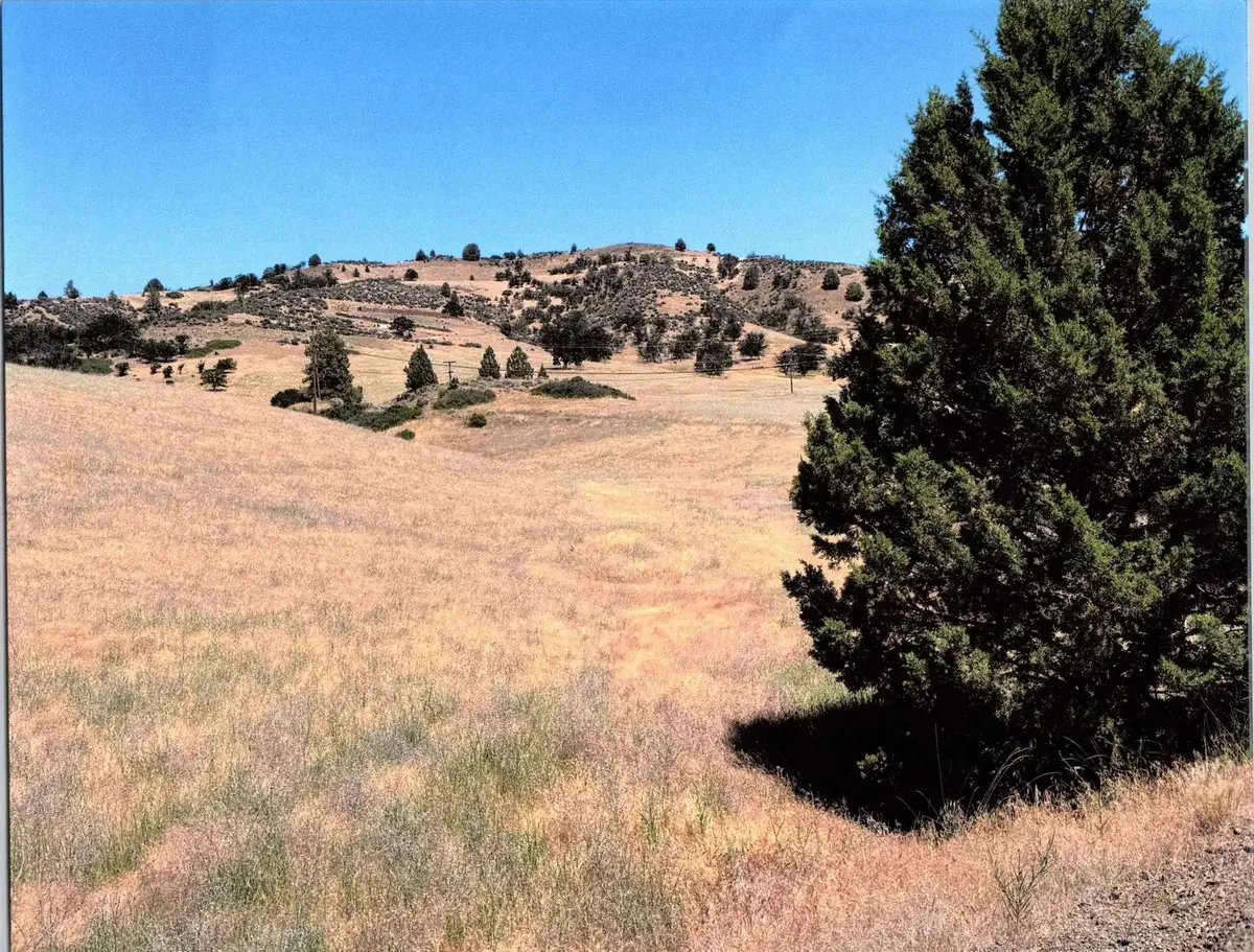 XOX Dennis Place, Hornbrook, CA 96044 - #1