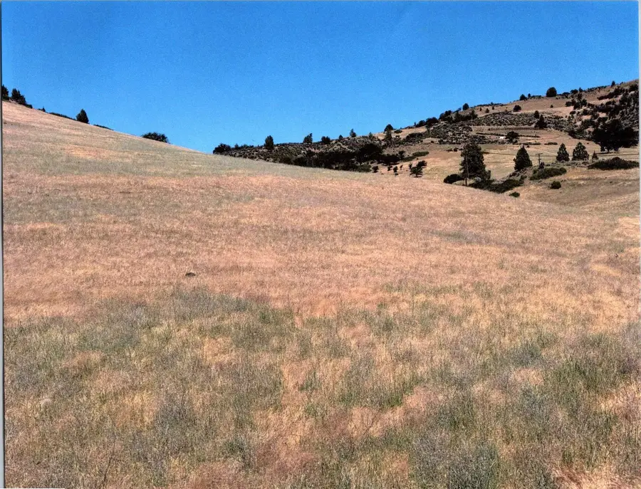 XOX Dennis Place, Hornbrook, CA 96044 - #3