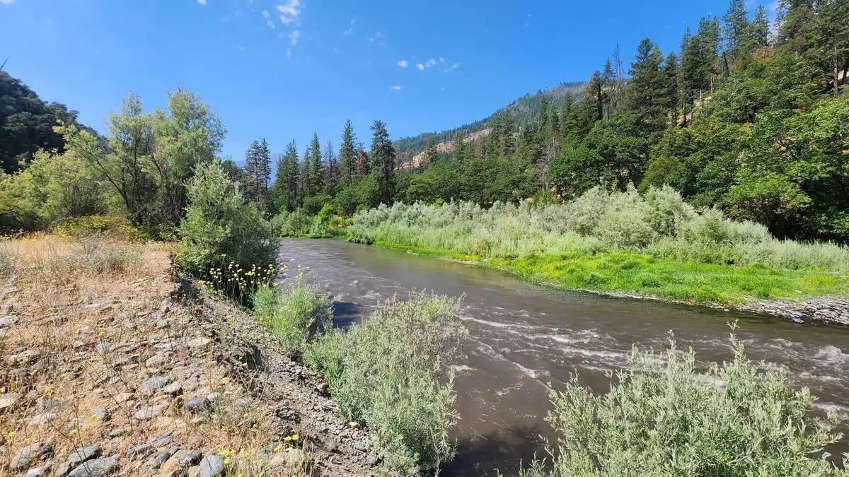 XX State Highway 96, Horse Creek, CA 96050 - #1