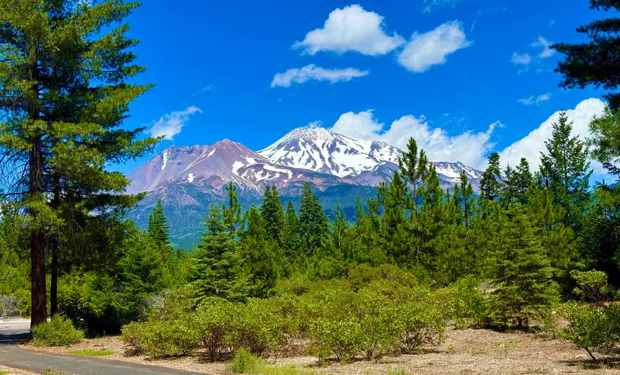 3137 Summit Dr, Mount Shasta, CA 96067 - #2