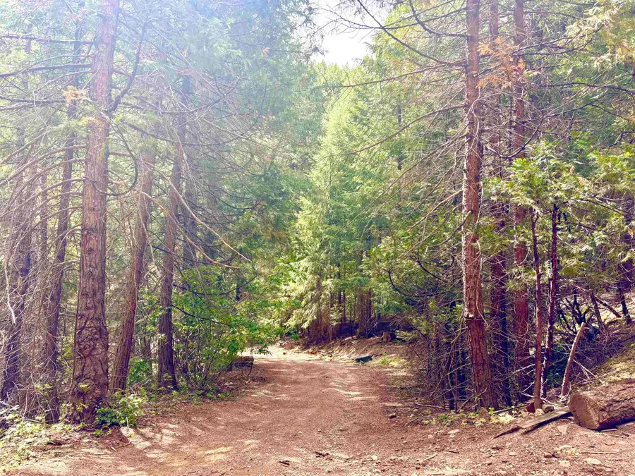 0 Mill Creek Rd, Yreka, CA 96097 - #2