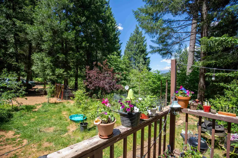20940 S Ridge Road, Castella, CA 96017 - #3