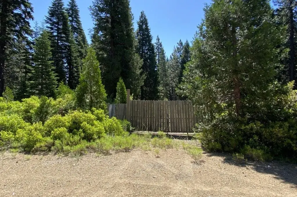 3-G-14 Elk Springs Ct, McCloud, CA 96057 - #1