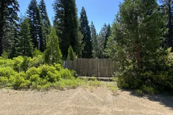 3-G-14 Elk Springs Ct, McCloud, CA 96057