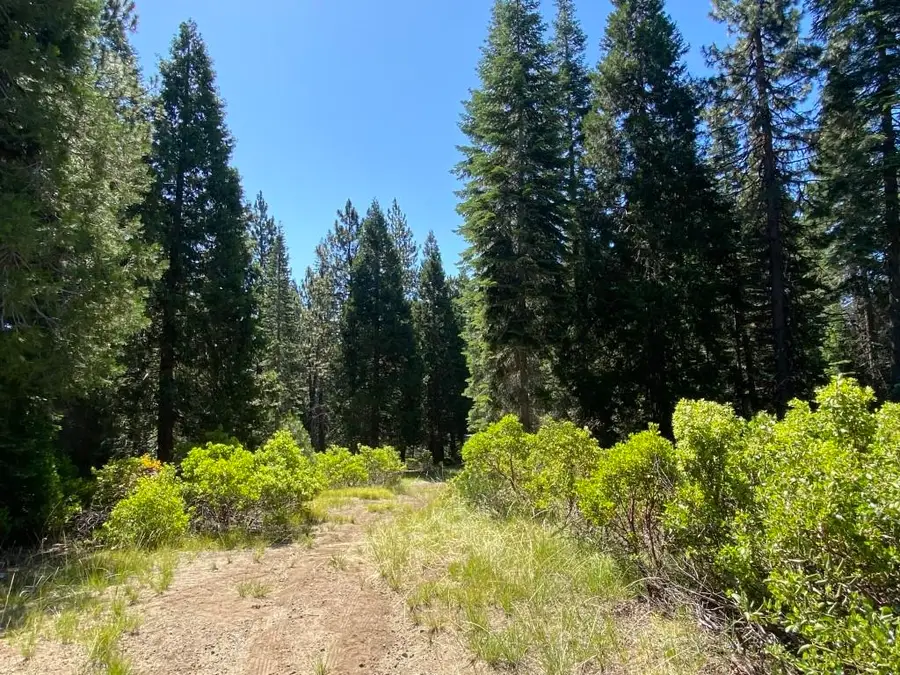 3-G-14 Elk Springs Ct, McCloud, CA 96057 - #2
