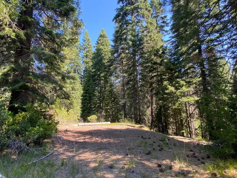 3-G-14 Elk Springs Ct, McCloud, CA 96057 - #3