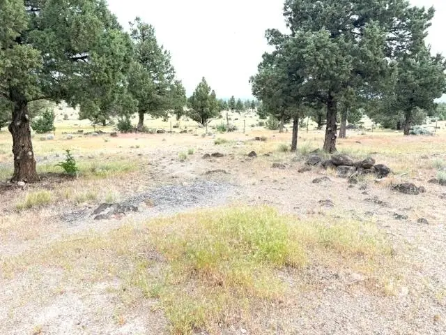 Unit 5-4 Lot 138 LS, Mt Blanch Dr., Weed, CA 96094 - #1