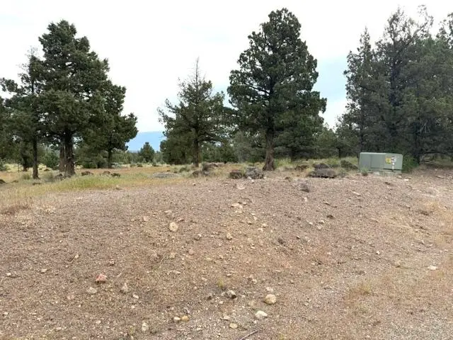 Unit 5-4 Lot 138 LS, Mt Blanch Dr., Weed, CA 96094 - #2