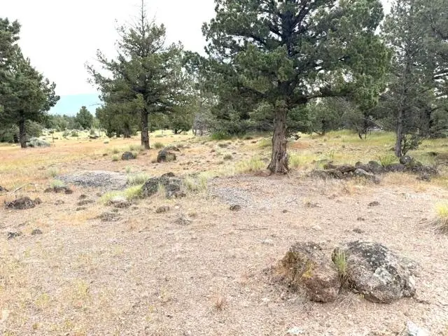 Unit 5-4 Lot 138 LS, Mt Blanch Dr., Weed, CA 96094 - #3