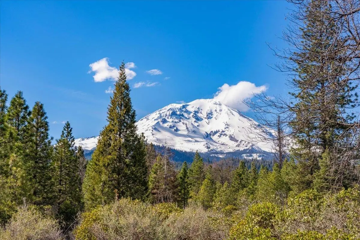 Lot W. Intake Springs Rd., McCloud, CA 96057 - #1