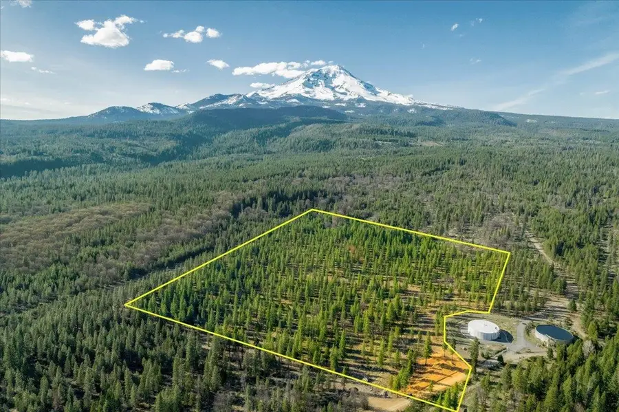 Lot W. Intake Springs Rd., McCloud, CA 96057 - #2