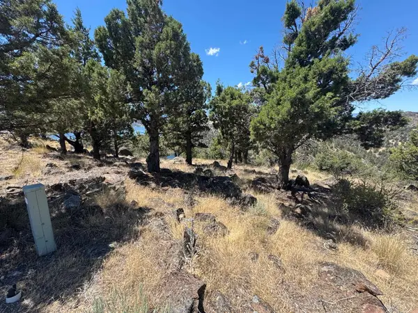 U 9-1 Lot 235 Stone Crest Drive, Weed, CA 96094