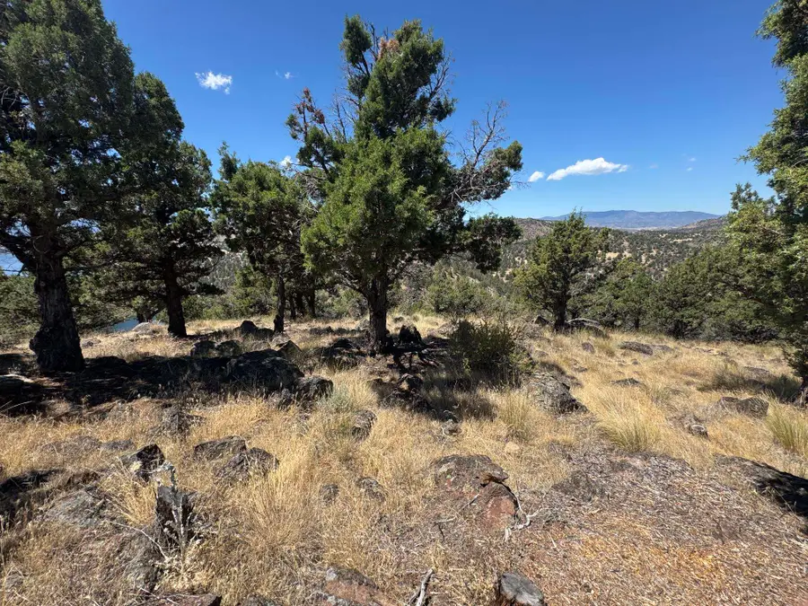 U 9-1 Lot 235 Stone Crest Drive, Weed, CA 96094 - #2