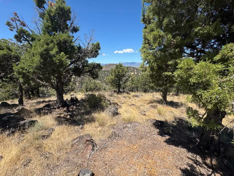 U 9-1 Lot 235 Stone Crest Drive, Weed, CA 96094 - #3