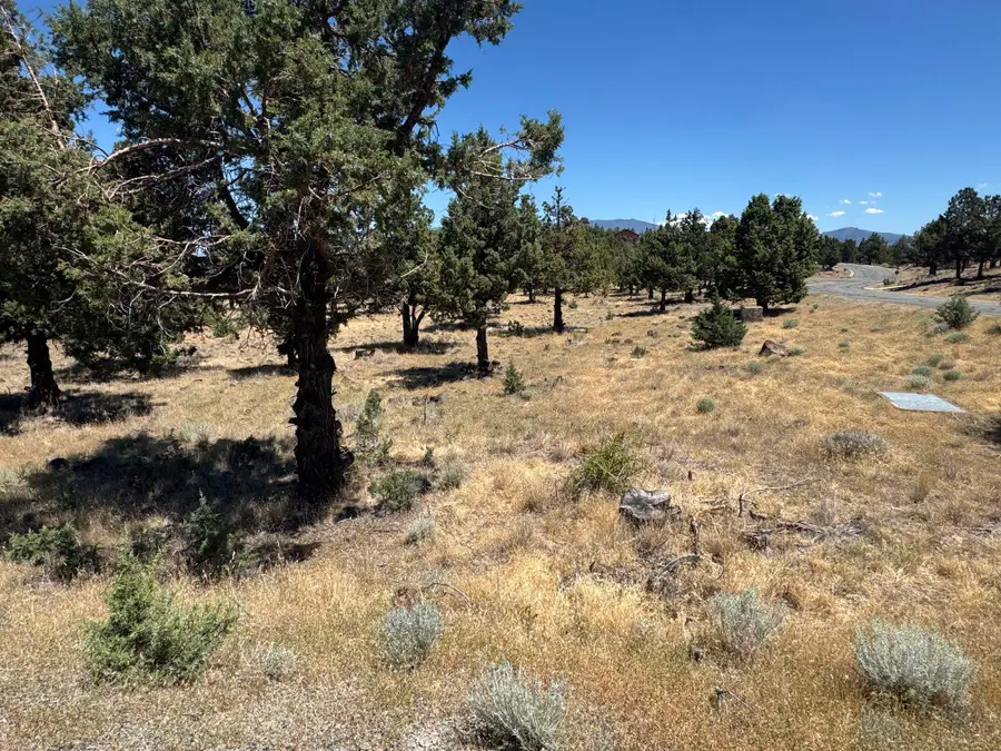 U 9-2 Lot 258 Quail Ridge, Weed, CA 96094 - #2