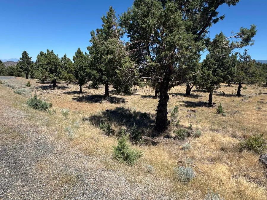 U 9-2 Lot 258 Quail Ridge, Weed, CA 96094 - #3