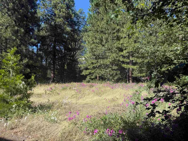 2 Lots on Hercules, Mt Shasta, CA 96067