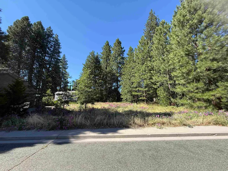 2 Lots on Hercules, Mount Shasta, CA 96067 - #2