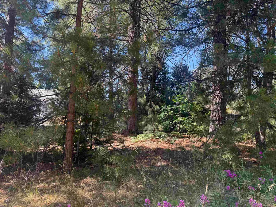 2 Lots on Hercules, Mount Shasta, CA 96067 - #3