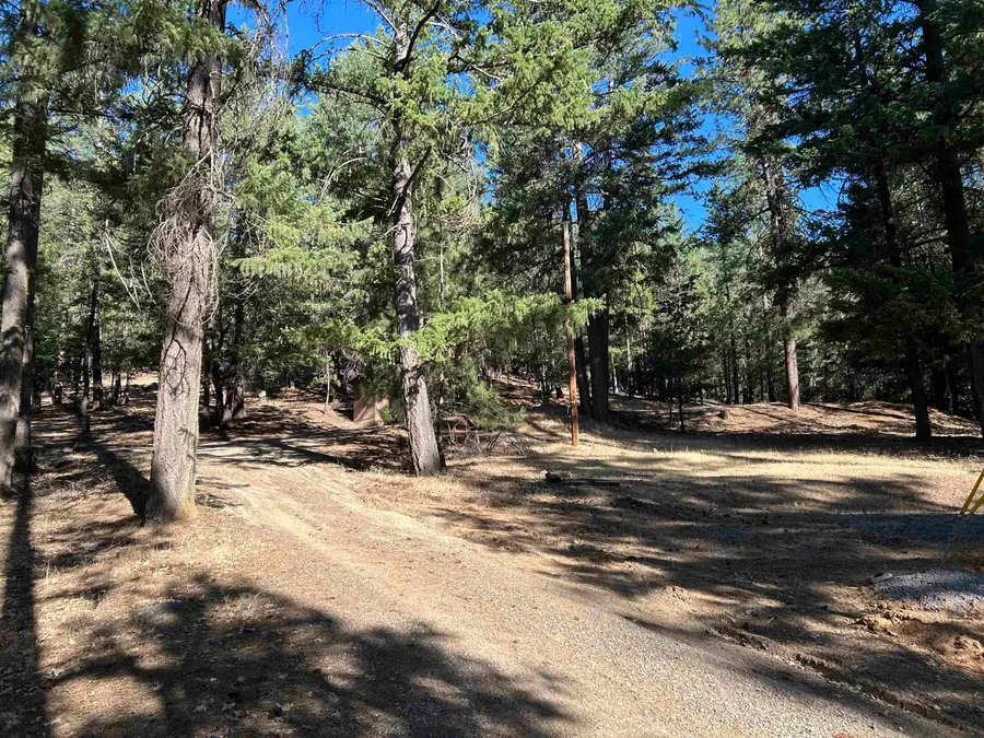 13417 Patterson Creek Rd, Fort Jones, CA 96032 - #3